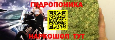 дживик Моздок