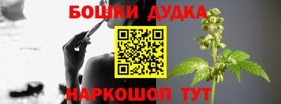 дживик Моздок