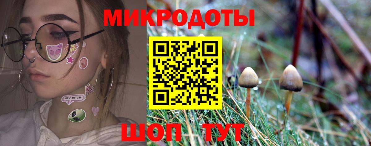 Псилоцибиновые грибы Cubensis Дзержинск